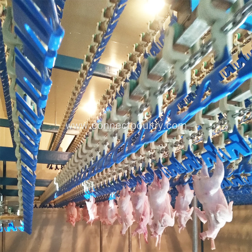Poultry abattoir slaughtering equipment